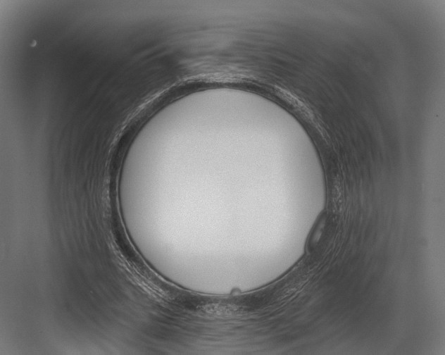 X0000081580535200702121450