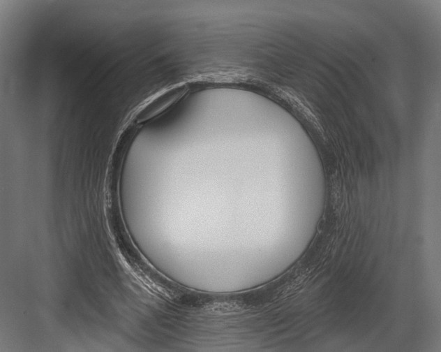 X0000081580536200702121450