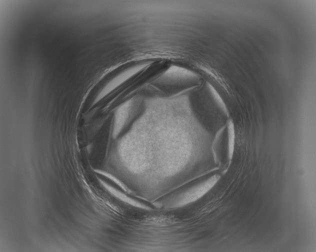 X0000081580540200702121450