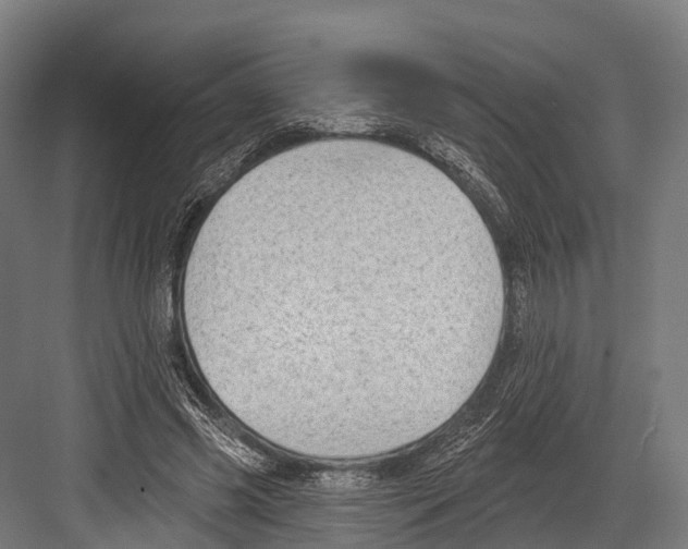 X0000081580541200702121450