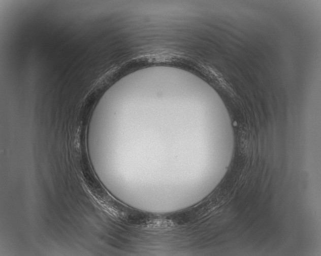 X0000081580543200702121450