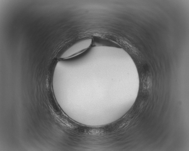 X0000081580546200702121450