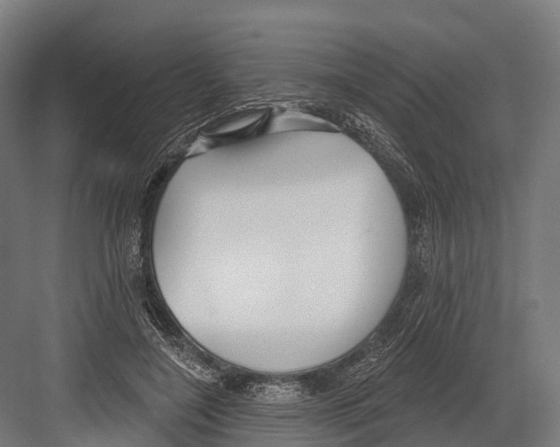 X0000081580548200702121450