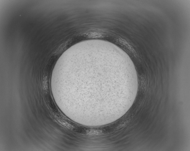 X0000081580549200702121450