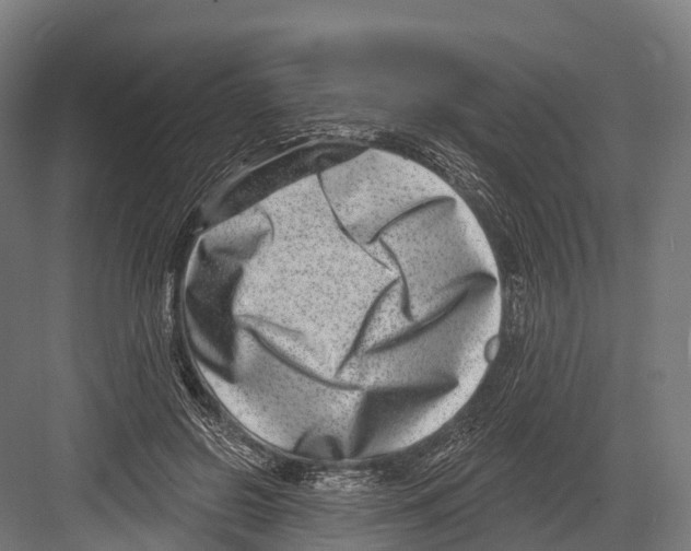 X0000081580550200702121450