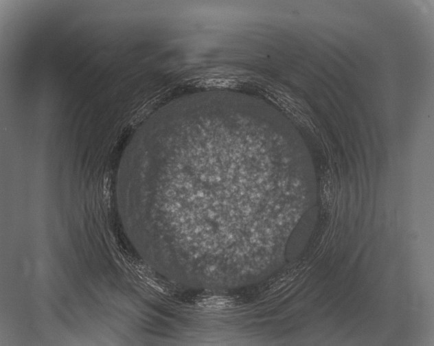 X0000081580551200702121450