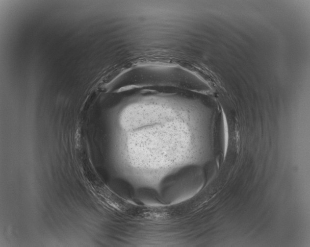 X0000081580552200702121450