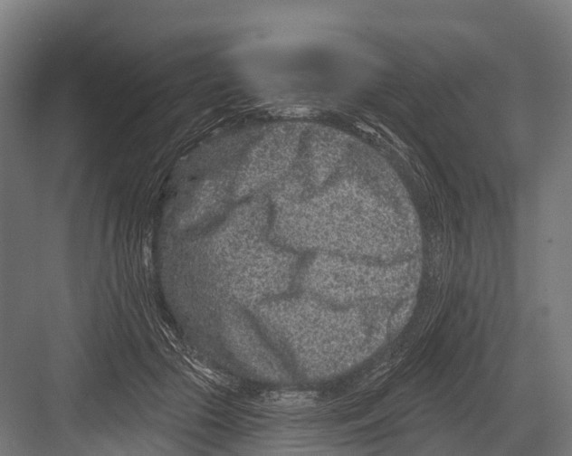 X0000081580553200702121450