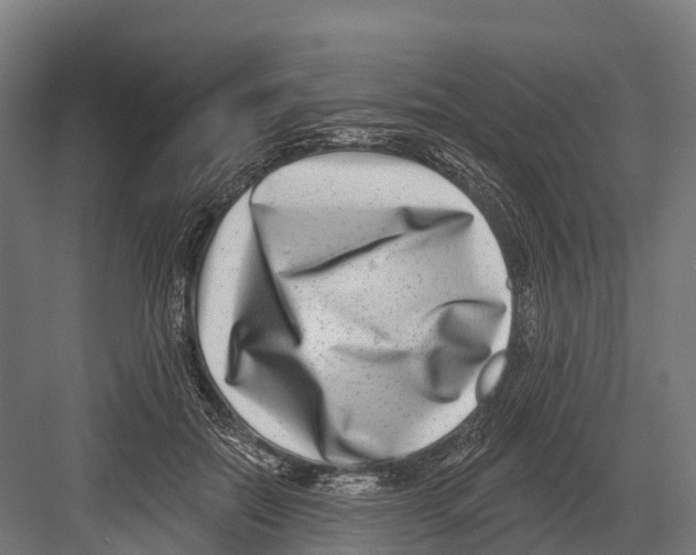 X0000081580554200702121450