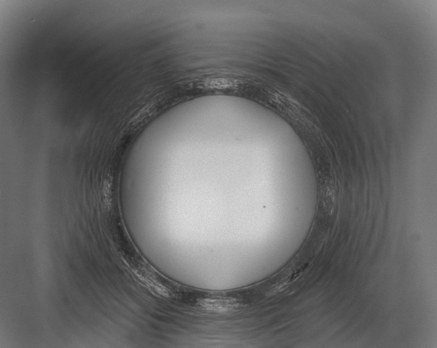 X0000081580556200702121450