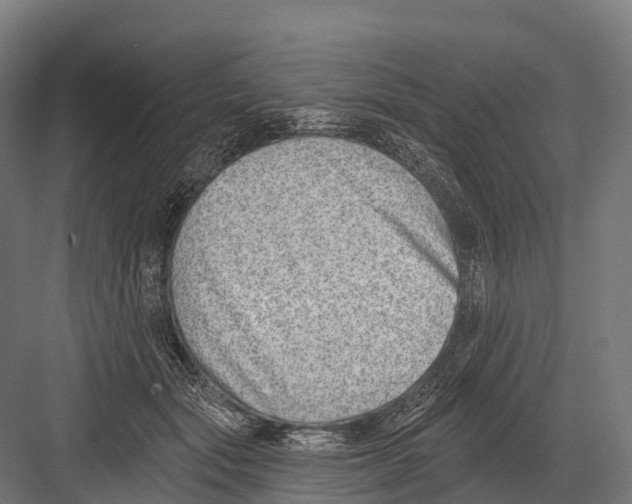 X0000081580557200702121450