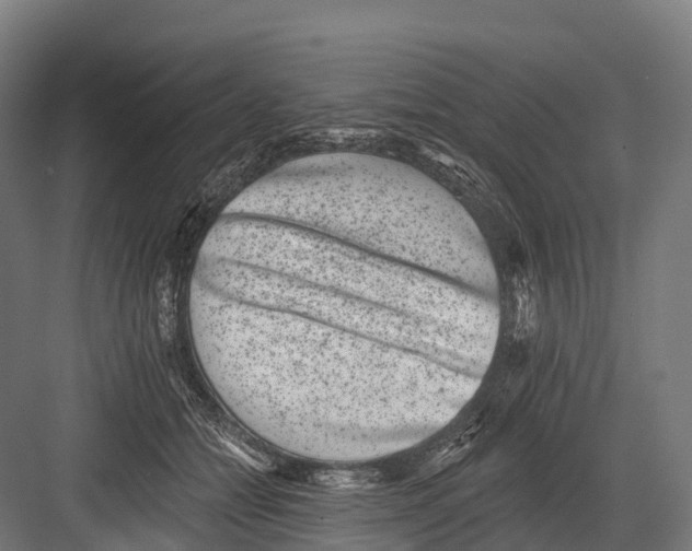 X0000081580558200702121450