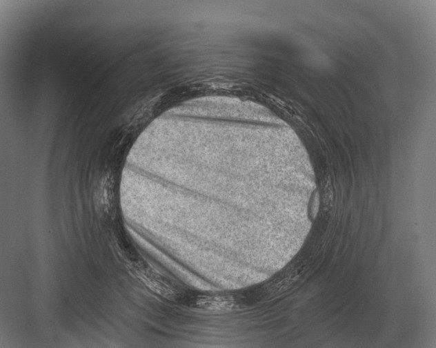 X0000081580559200702121450