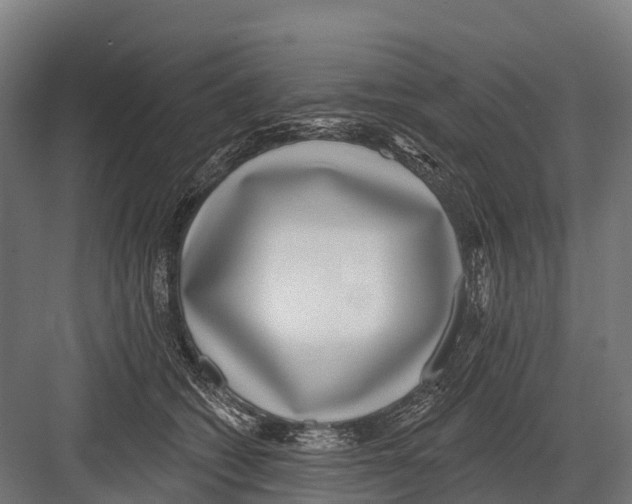 X0000081580562200702121450