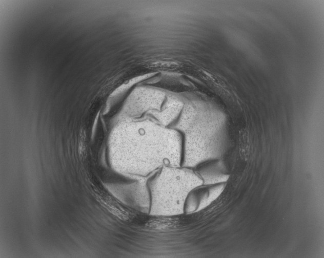 X0000081580563200702121450