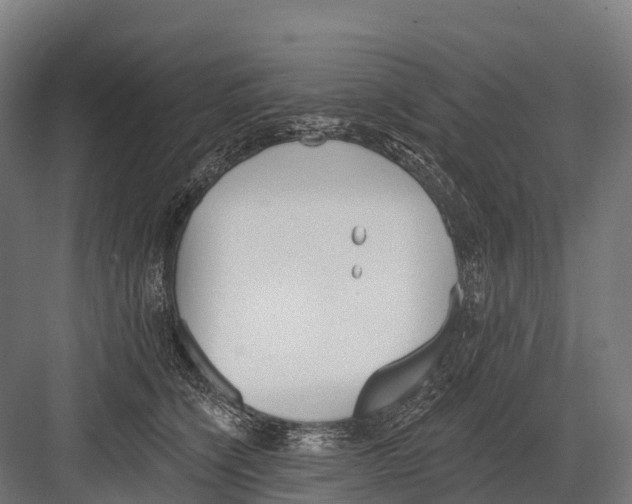 X0000081580564200702121450