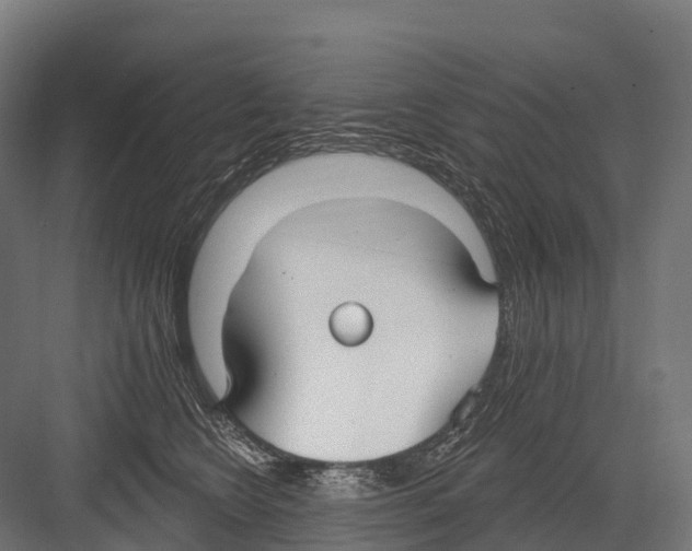 X0000081580566200702121450