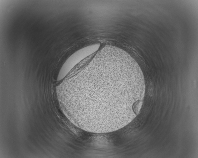 X0000081580569200702121451