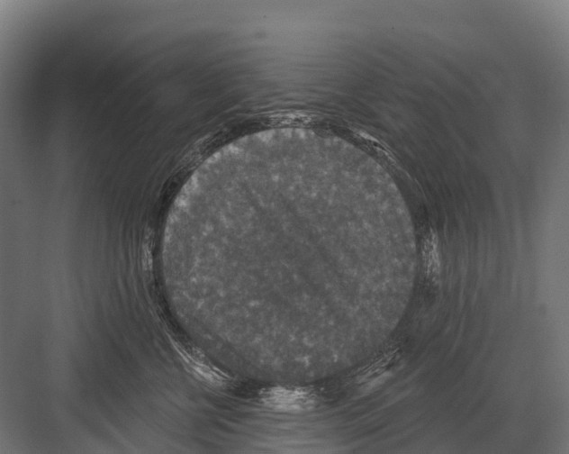 X0000081580570200702121451