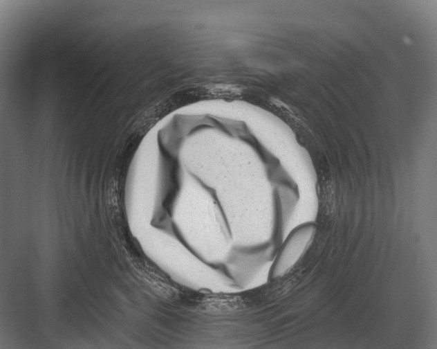 X0000081580571200702121451