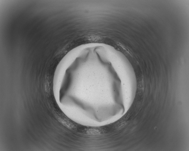 X0000081580572200702121451