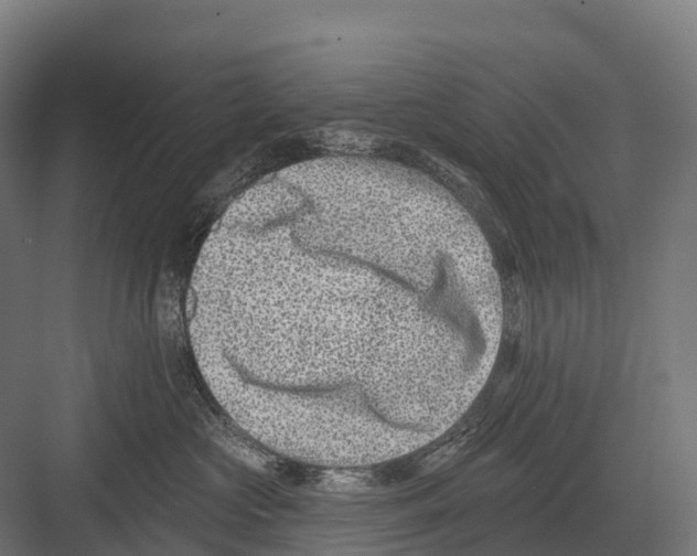 X0000081580573200702121451