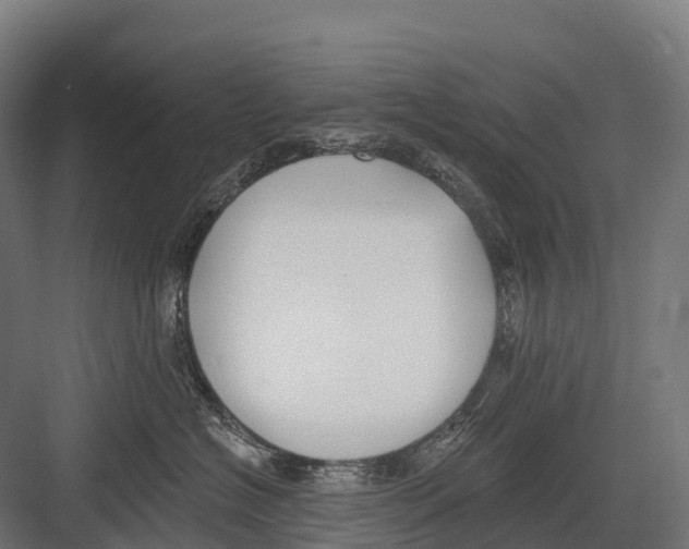 X0000081580574200702121451