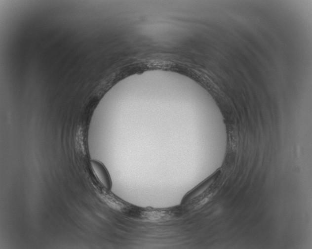 X0000081580575200702121451