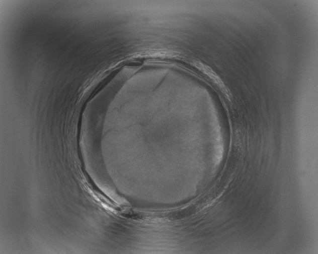 X0000081580577200702121450