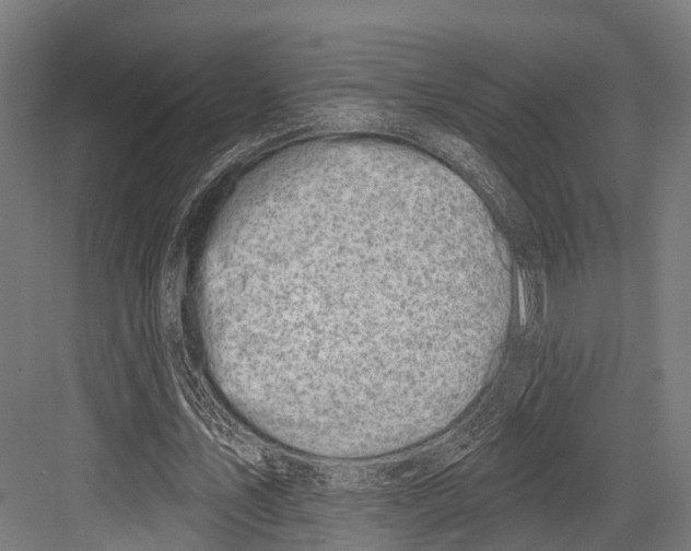 X0000081580579200702121450