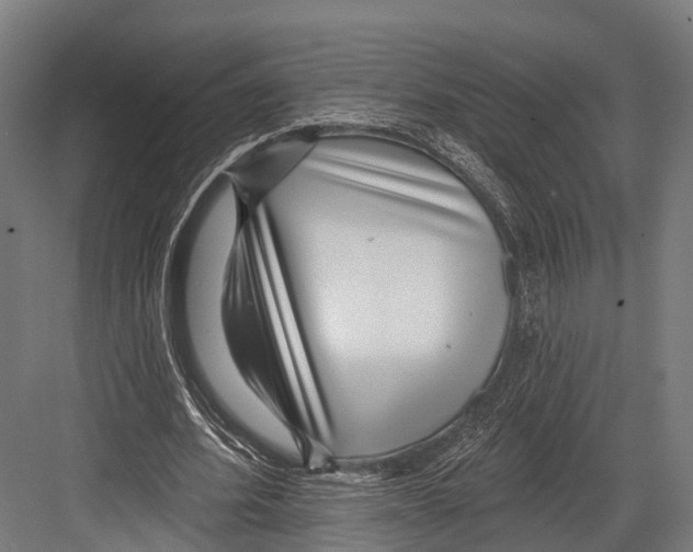 X0000081580580200702121450