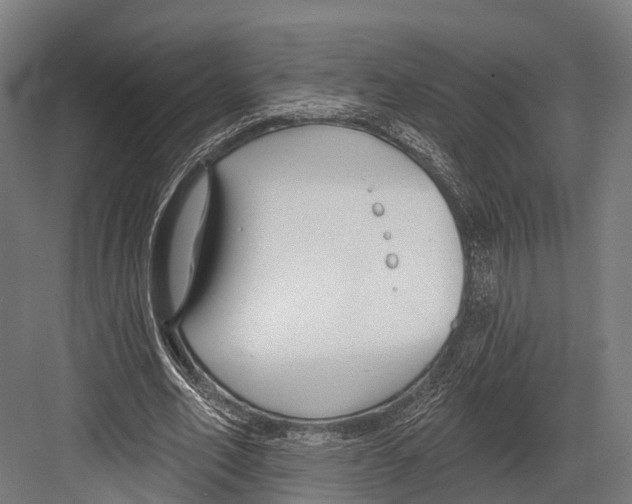 X0000081580582200702121450