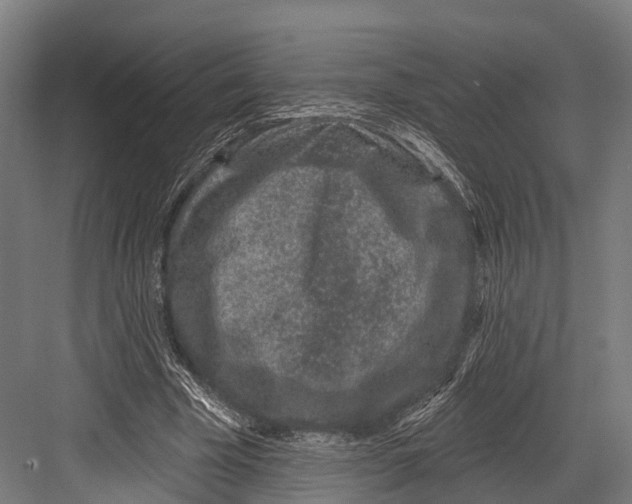 X0000081580585200702121450