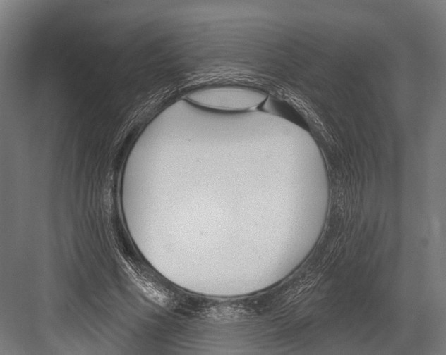 X0000081580586200702121450