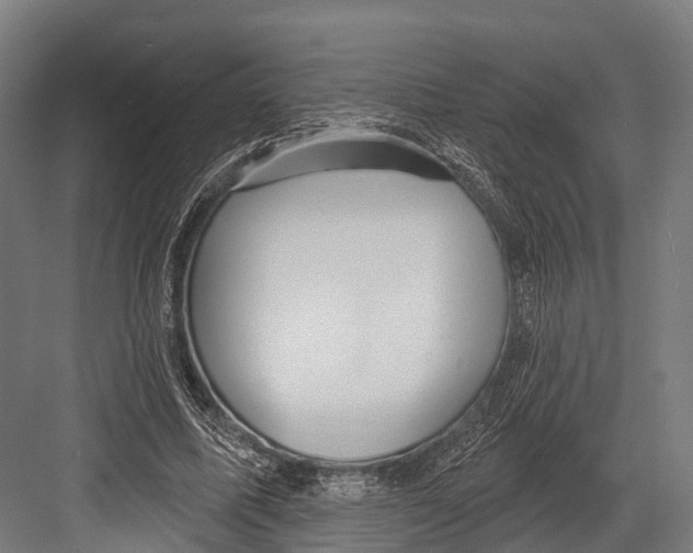 X0000081580587200702121450