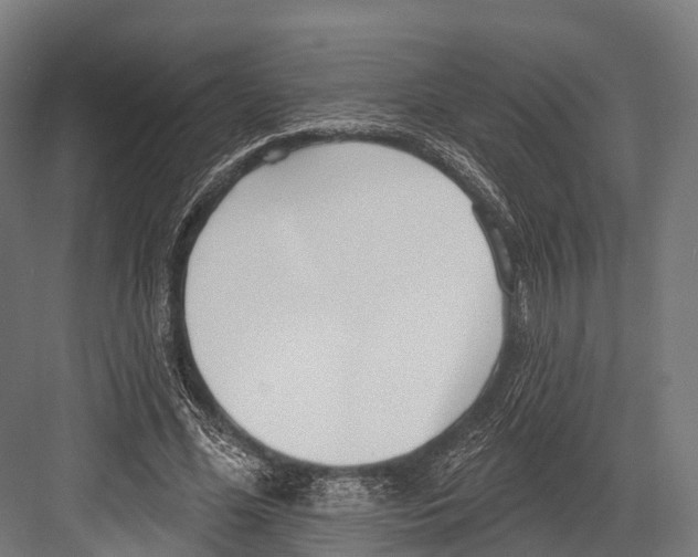 X0000081580588200702121450