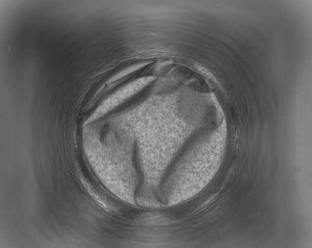 X0000081580589200702121450