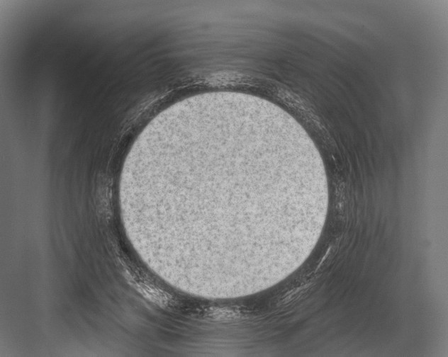 X0000081580592200702121450