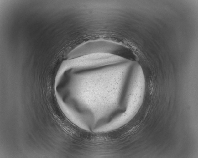 X0000081580593200702121450