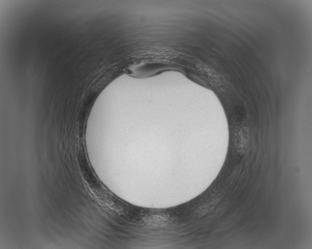 X0000081580594200702121450