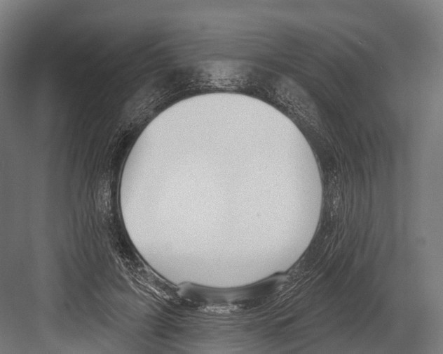 X0000081580595200702121450