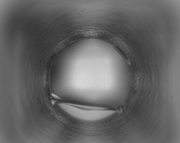 X0000081580600200702121449