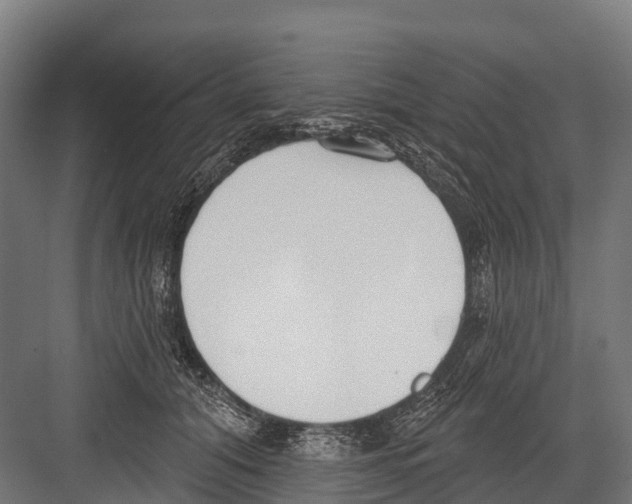 X0000081580608200702121449