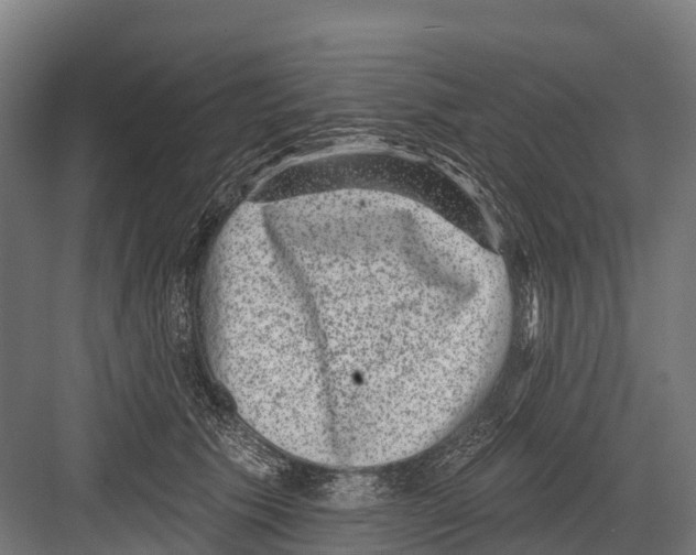 X0000081580609200702121449