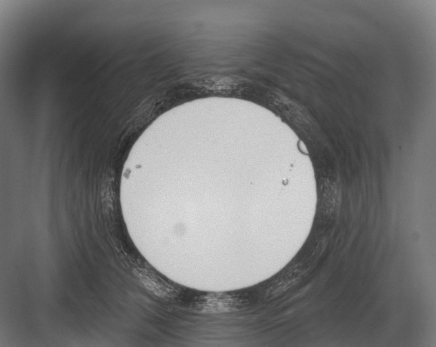 X0000081580612200702121449