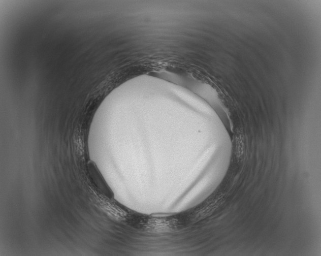 X0000081580613200702121449