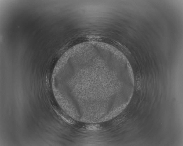 X0000081580618200702121449