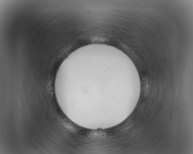 X0000081580619200702121449