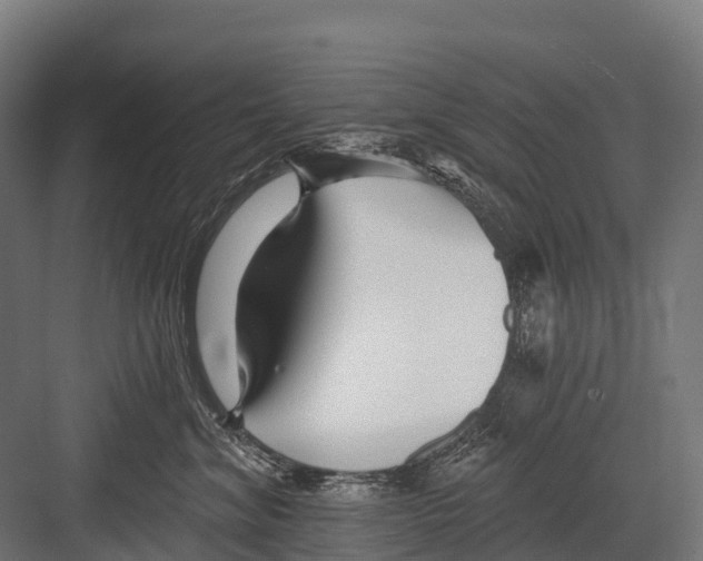 X0000081580620200702121449