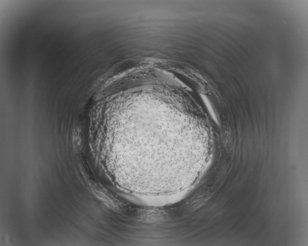 X0000081580621200702121449